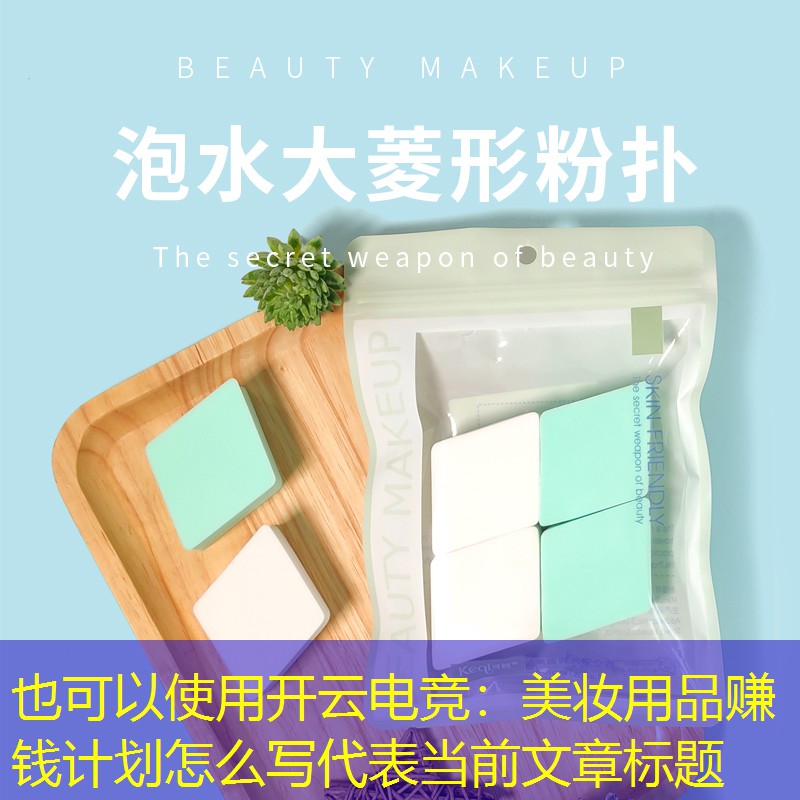 美妆用品赚钱计划怎么写